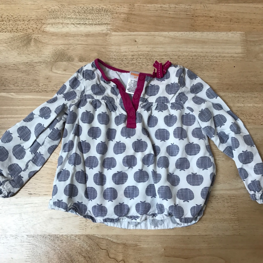 Adorable Gymboree 2T Shirt
